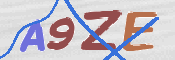 画像に表示された文字を入力して下さい