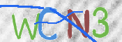 画像に表示された文字を入力して下さい