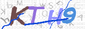 画像に表示された文字を入力して下さい