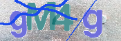 画像に表示された文字を入力して下さい
