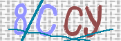 画像に表示された文字を入力して下さい