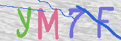 画像に表示された文字を入力して下さい