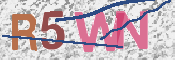 画像に表示された文字を入力して下さい
