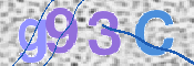画像に表示された文字を入力して下さい