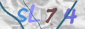 画像に表示された文字を入力して下さい