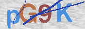 画像に表示された文字を入力して下さい