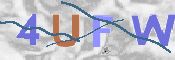 画像に表示された文字を入力して下さい