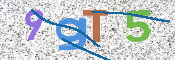 画像に表示された文字を入力して下さい