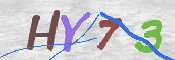 画像に表示された文字を入力して下さい