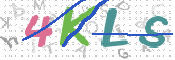 画像に表示された文字を入力して下さい