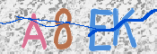 画像に表示された文字を入力して下さい