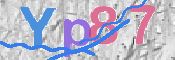 画像に表示された文字を入力して下さい