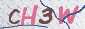 画像に表示された文字を入力して下さい