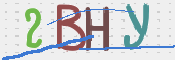 画像に表示された文字を入力して下さい