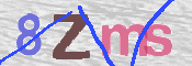 画像に表示された文字を入力して下さい