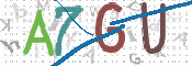 画像に表示された文字を入力して下さい