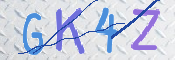 画像に表示された文字を入力して下さい