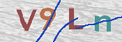 画像に表示された文字を入力して下さい