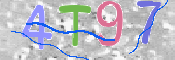 画像に表示された文字を入力して下さい
