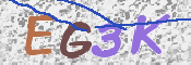 画像に表示された文字を入力して下さい