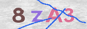 画像に表示された文字を入力して下さい