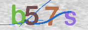 画像に表示された文字を入力して下さい