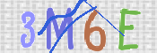 画像に表示された文字を入力して下さい