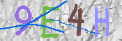 画像に表示された文字を入力して下さい