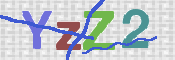 画像に表示された文字を入力して下さい