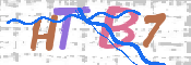 画像に表示された文字を入力して下さい