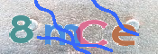 画像に表示された文字を入力して下さい