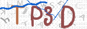画像に表示された文字を入力して下さい
