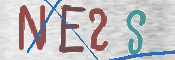 画像に表示された文字を入力して下さい