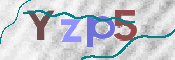 画像に表示された文字を入力して下さい