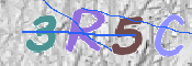 画像に表示された文字を入力して下さい