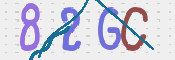 画像に表示された文字を入力して下さい