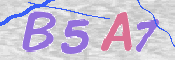 画像に表示された文字を入力して下さい