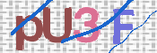 画像に表示された文字を入力して下さい