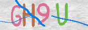 画像に表示された文字を入力して下さい