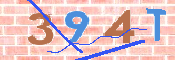 画像に表示された文字を入力して下さい