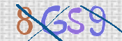 画像に表示された文字を入力して下さい