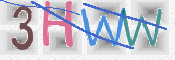 画像に表示された文字を入力して下さい