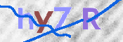 画像に表示された文字を入力して下さい