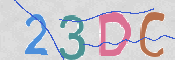 画像に表示された文字を入力して下さい