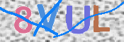 画像に表示された文字を入力して下さい