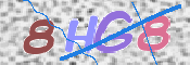 画像に表示された文字を入力して下さい