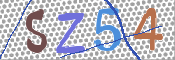 画像に表示された文字を入力して下さい