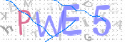 画像に表示された文字を入力して下さい