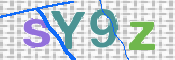 画像に表示された文字を入力して下さい