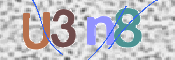 画像に表示された文字を入力して下さい